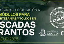 BASES ADMINISTRATIVAS DE POSTULACIÓN AL USO DE MÓDULOS DE REPOSTERÍA, ARTESANÍAS Y TOLDOS EN MARISCADAS Y CURANTOS 2026