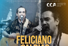 Feliciano Saldías y Banda se presentará este viernes 23 de Octubre en Ancud